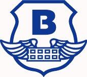 Brinks logo